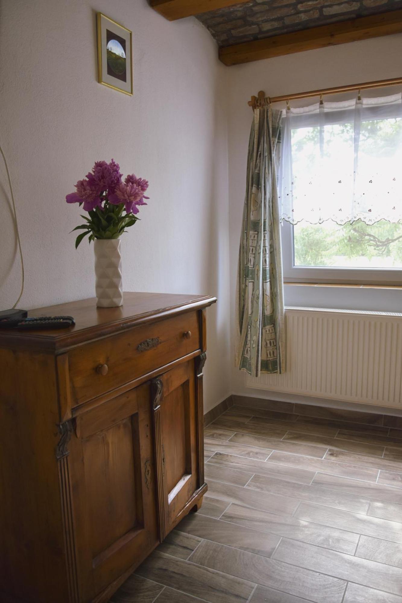 Anna Apartman * Maroslele